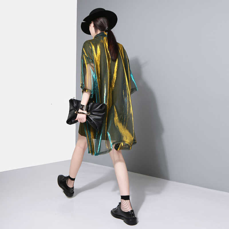 Reece Sheer Shimmer Shirt Dress