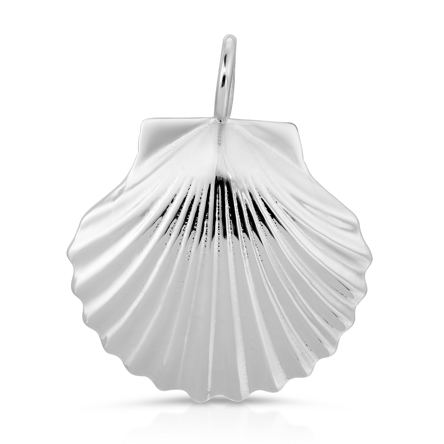 Seychelles Sea Shell Pendant in Gold or Silver | eklexic