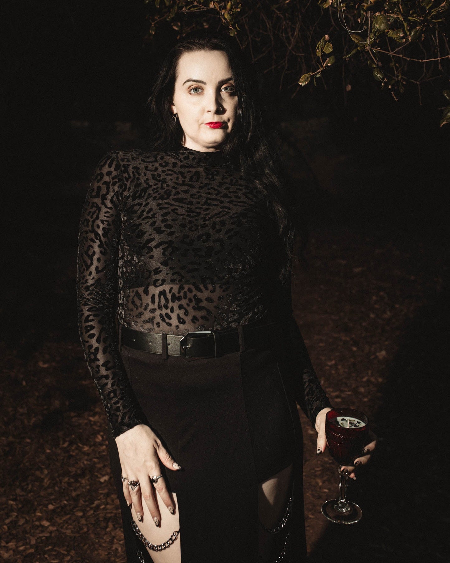 Black leopard burnout velvet Shadows top by The Pretty Cult