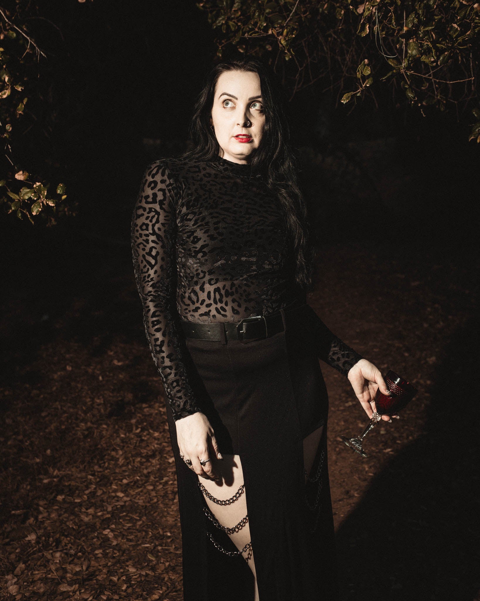 Black leopard burnout velvet top with long sleeves