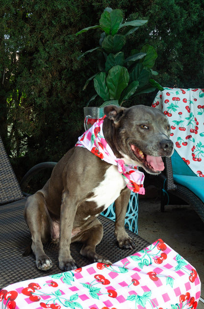 Cyndi Pink Gingham Cherry Girl Bandana | Pinup Couture Relaxed