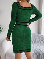 Grace Contrast Trim Long Sleeve Sweater Dress | 4 Colors