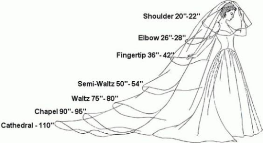 Light blue lace trim tulle bridal veil, full length