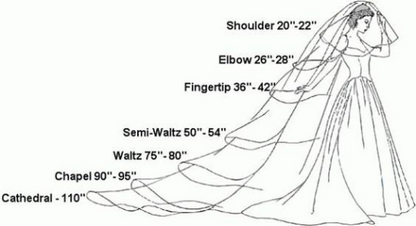 Light blue lace trim tulle bridal veil, full length