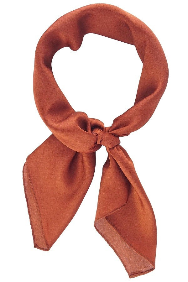 Giselle Neck Scarf in Rust