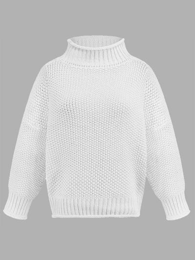 Tania Turtleneck Long Sleeve Sweater | 6 Colors