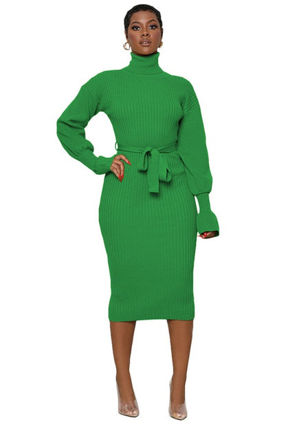 Jade Long Sleeve Bodycon Turtleneck Midi Green Sweater Dress | Claude