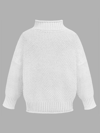 Tania Turtleneck Long Sleeve Sweater | 6 Colors