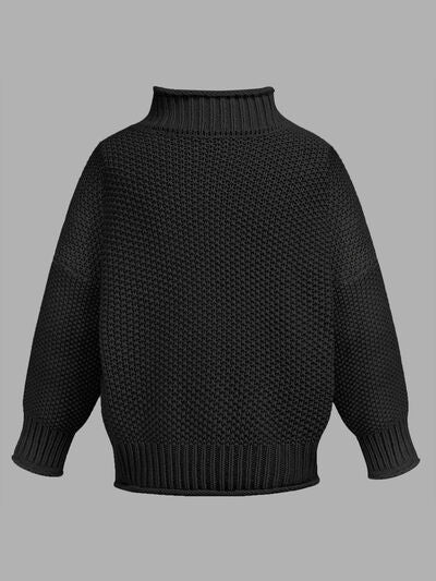 Tania Turtleneck Long Sleeve Sweater | 6 Colors