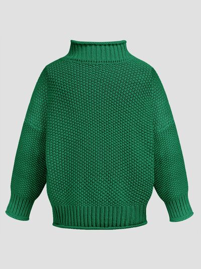 Tania Turtleneck Long Sleeve Sweater | 6 Colors