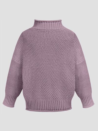 Tania Turtleneck Long Sleeve Sweater | 6 Colors