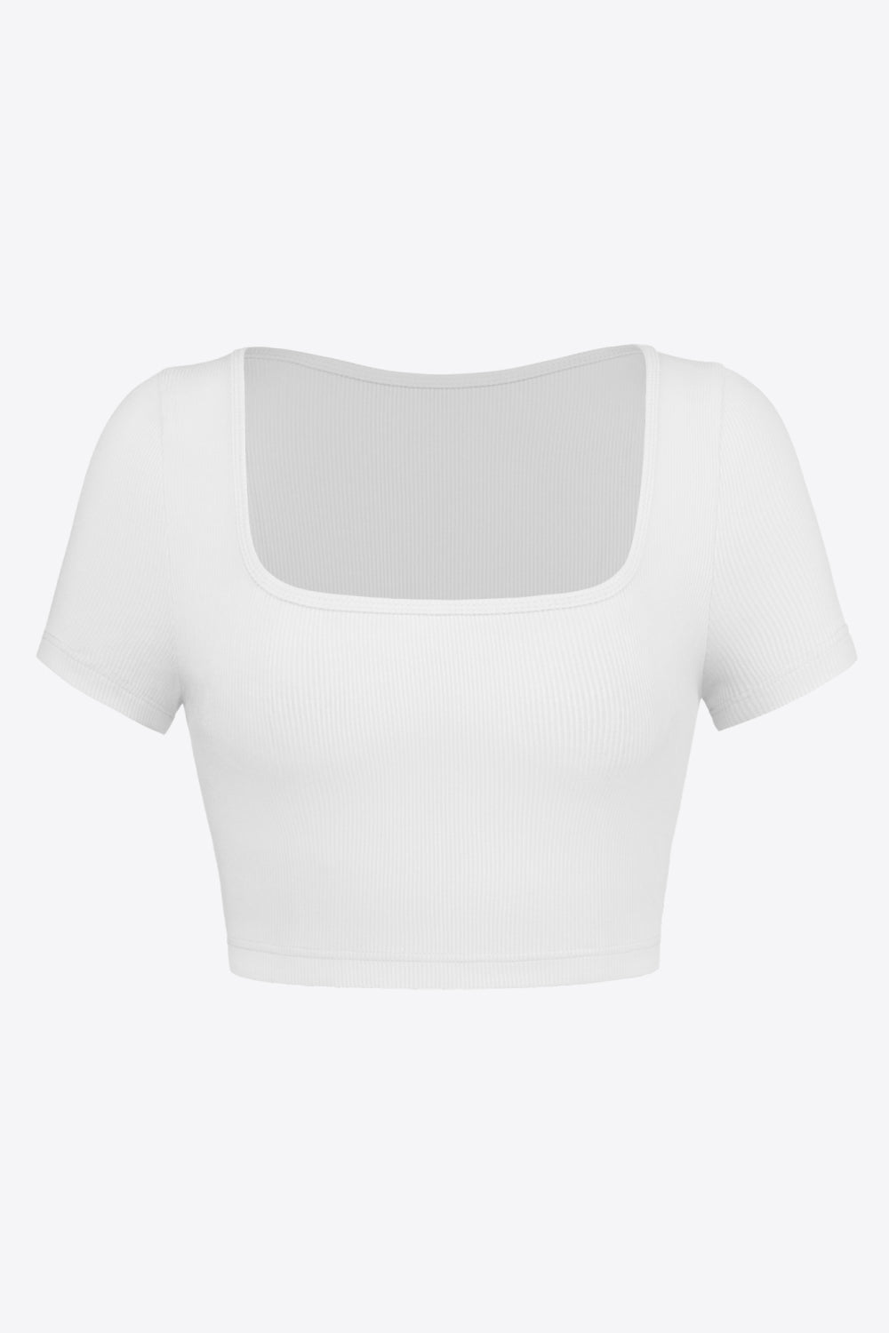 Root Ribbed Crop Top in Black, Sage, Khaki, and White