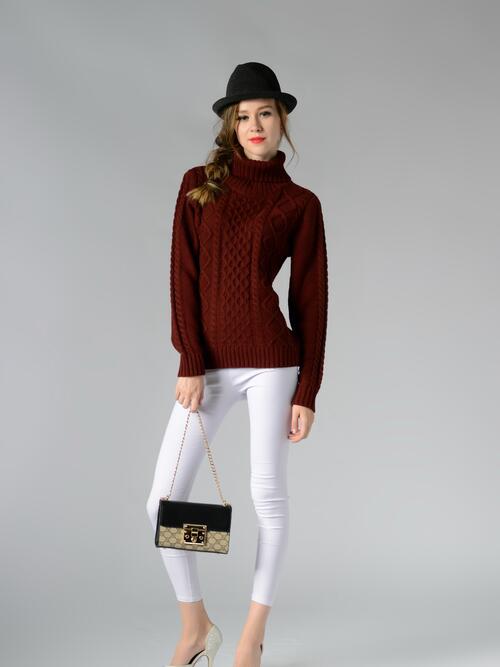 Turin Braided Turtleneck Long Sleeve Sweater | 4 Colors