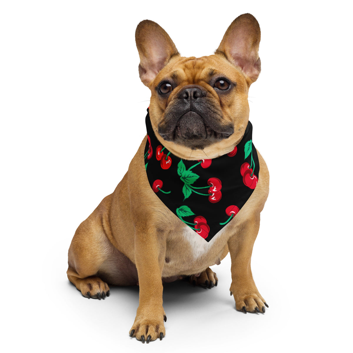Cyndi Black Coffee Cherry Girl Bandana