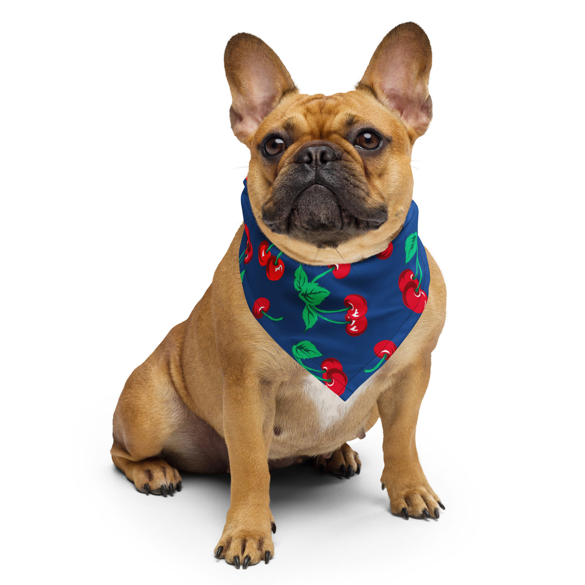 Cyndi Dark Blue Cherry Girl Bandana