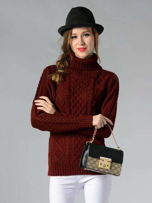 Turin Braided Turtleneck Long Sleeve Sweater | 4 Colors